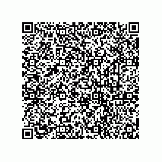 vCard 78113872131