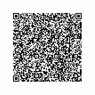 vCard 78113872331
