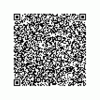 vCard 78113872333