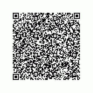 vCard 78113872379