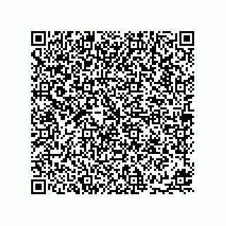 vCard 78113872381