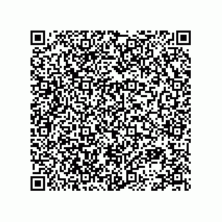 vCard 78113896401