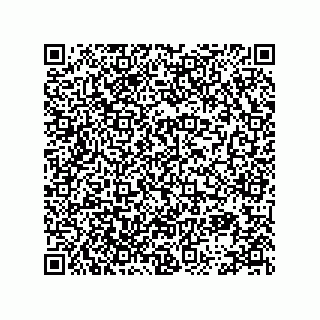 vCard 78113896410