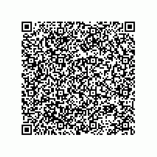 vCard 78113896411