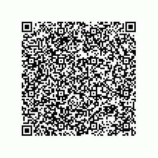 vCard 78113896481