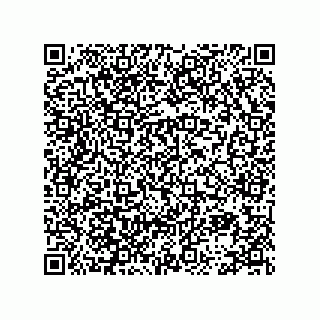vCard 78113896498