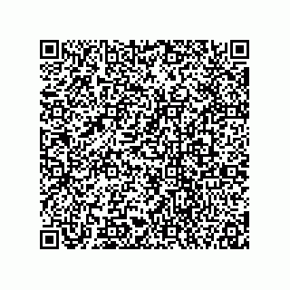 vCard 78113896500