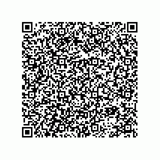 vCard 78113896537