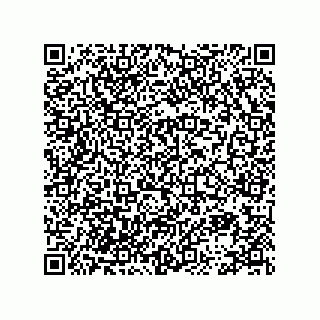 vCard 78113896541