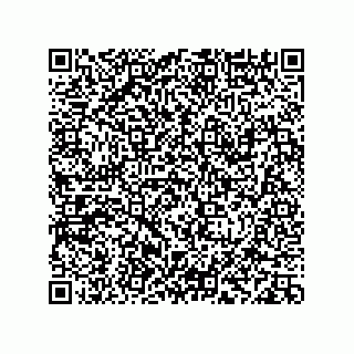vCard 78113933700