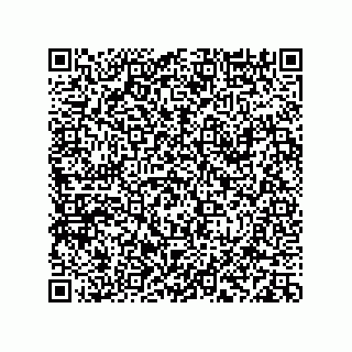 vCard 78113933702
