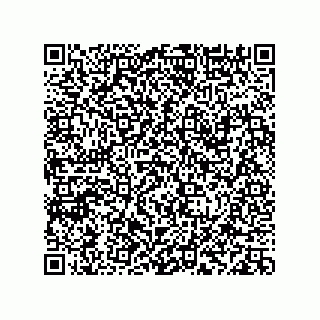 vCard 78113933703