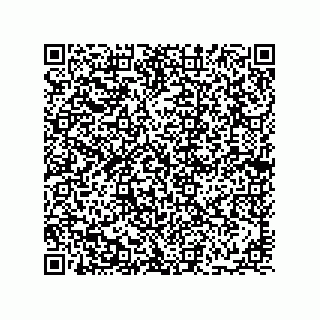 vCard 78113933704