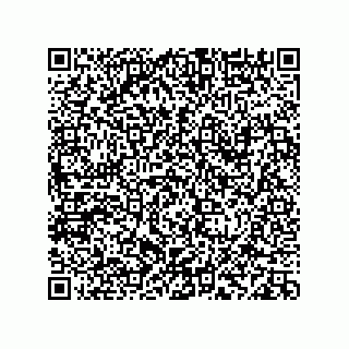 vCard 78113933705