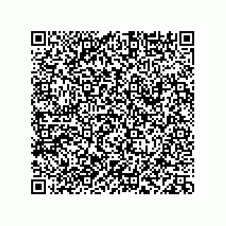 vCard 78113933706