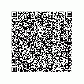 vCard 78113933711
