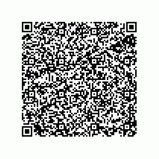 vCard 78113933713