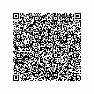 vCard 78113933714