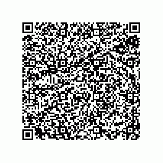 vCard 78113933725