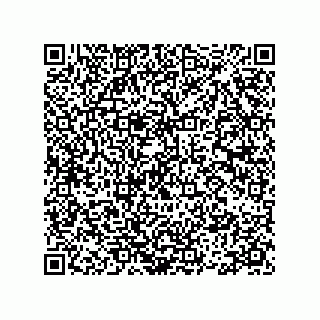 vCard 78113933727