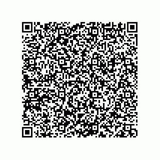 vCard 78113933728