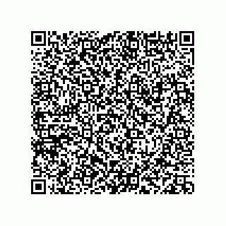 vCard 78113933729