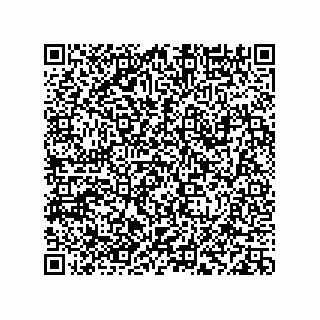 vCard 78113933730