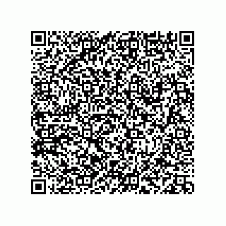 vCard 78113933731