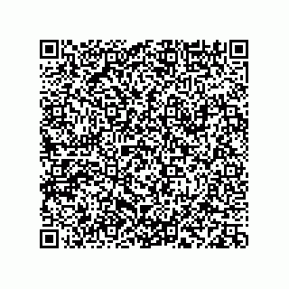 vCard 78113933732
