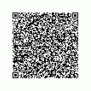 vCard 78113933736