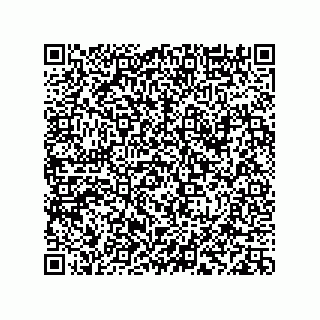 vCard 78113933737