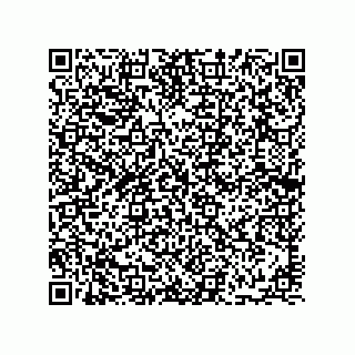 vCard 78113933738