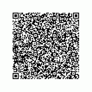 vCard 78113933740