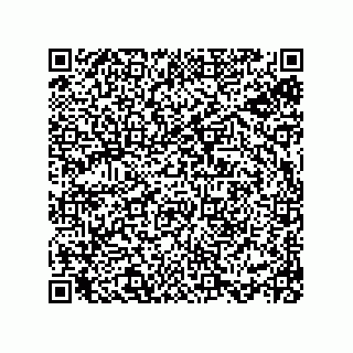 vCard 78113933741