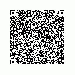 vCard 78113933742