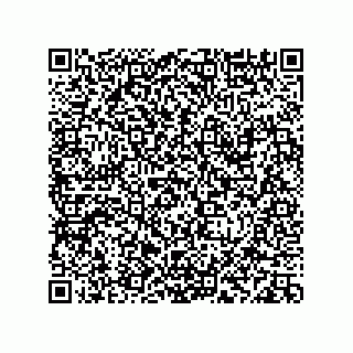 vCard 78113933743