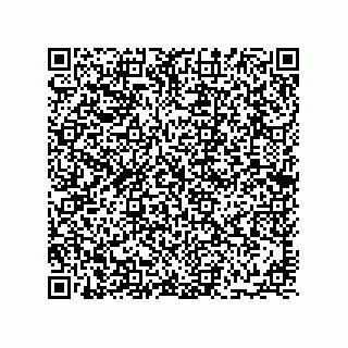 vCard 78113933745