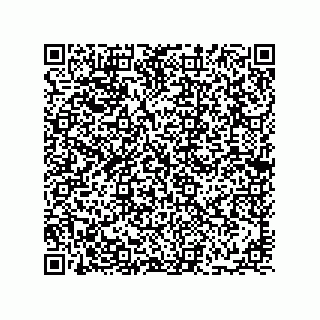 vCard 78113933747