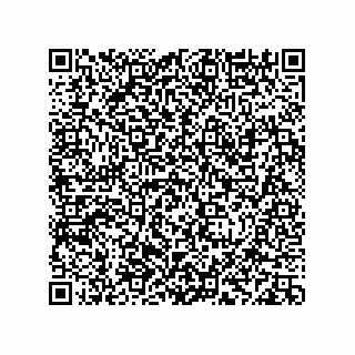 vCard 78113933749