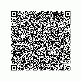 vCard 78113933751