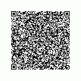 vCard 78113933760