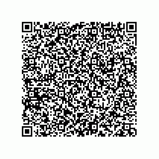 vCard 78113933761