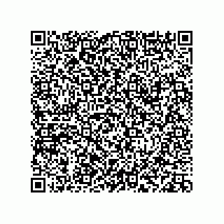vCard 78113933763