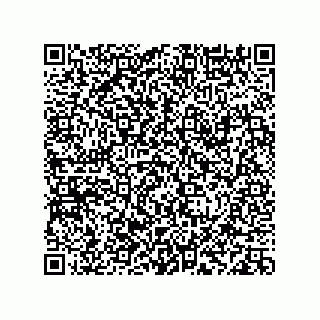 vCard 78113933764