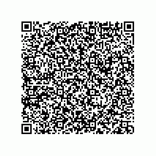 vCard 78113933767