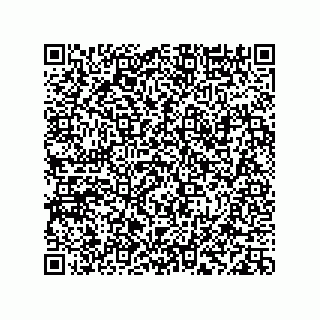 vCard 78113933769
