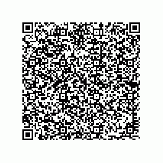 vCard 78113933771