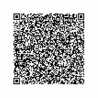 vCard 78113933775