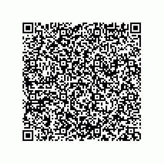 vCard 78113933776