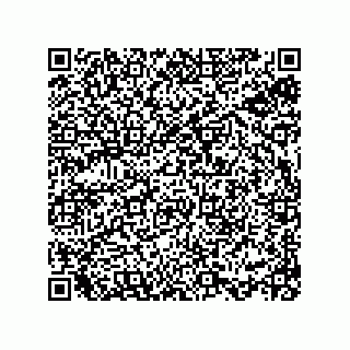 vCard 78113933779